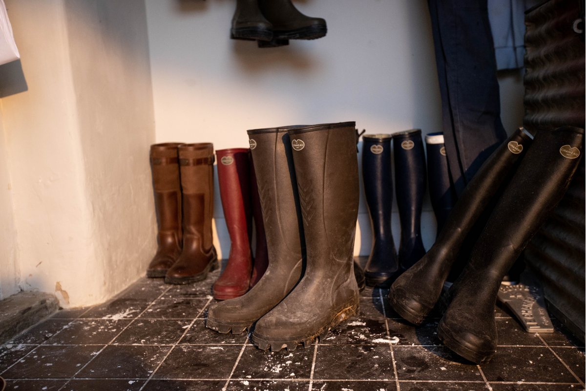 What Are The Best Wellington Boots? - Our Welly Guide