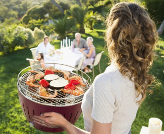 LotusGrill smokeless charcoal barbecue and everything you need to know