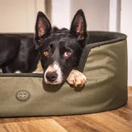 Luxury dog beds, dog mattresses and dog blankets from Philip Morris & Son