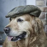 Dog Walking Hats for men and women from Philip Morris & Son