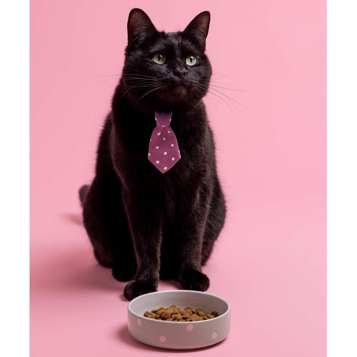 Mason Cash Polka Dot Grey Pet Bowl 13cm