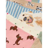 Multi/Ecru/Dog Joules Womens Everyday Ankle Socks 5 Pack Dog Pattern