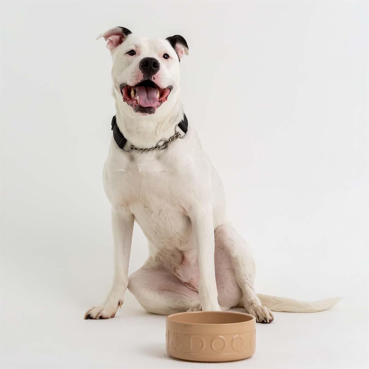 Mason Cash Cane Lettered Dog Bowl 20cm