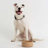 Mason Cash Cane Lettered Dog Bowl 20cm DOG
