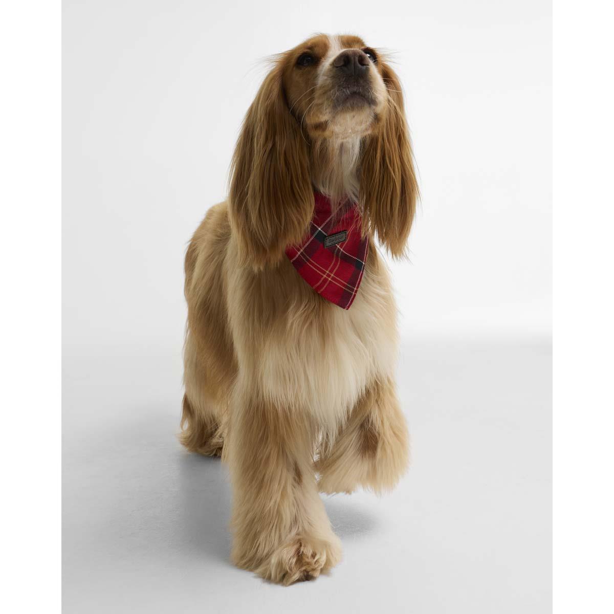 Barbour Tartan Dog Bandana