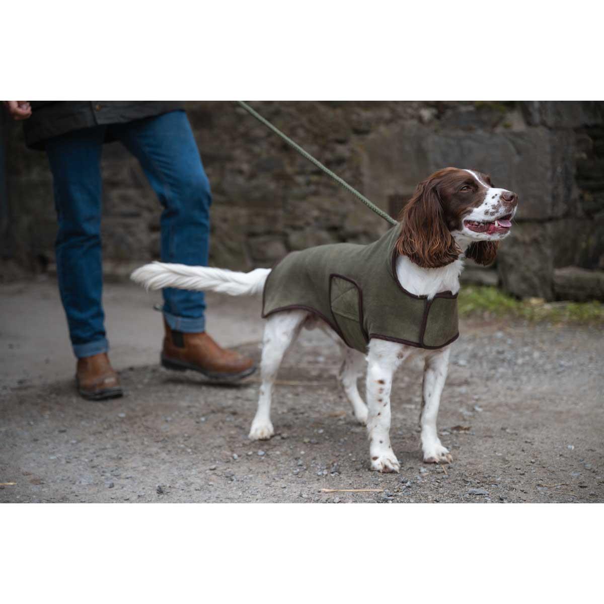Lovat Hoggs of Fife Stenton Fleece Dog Coat  lifestyle2