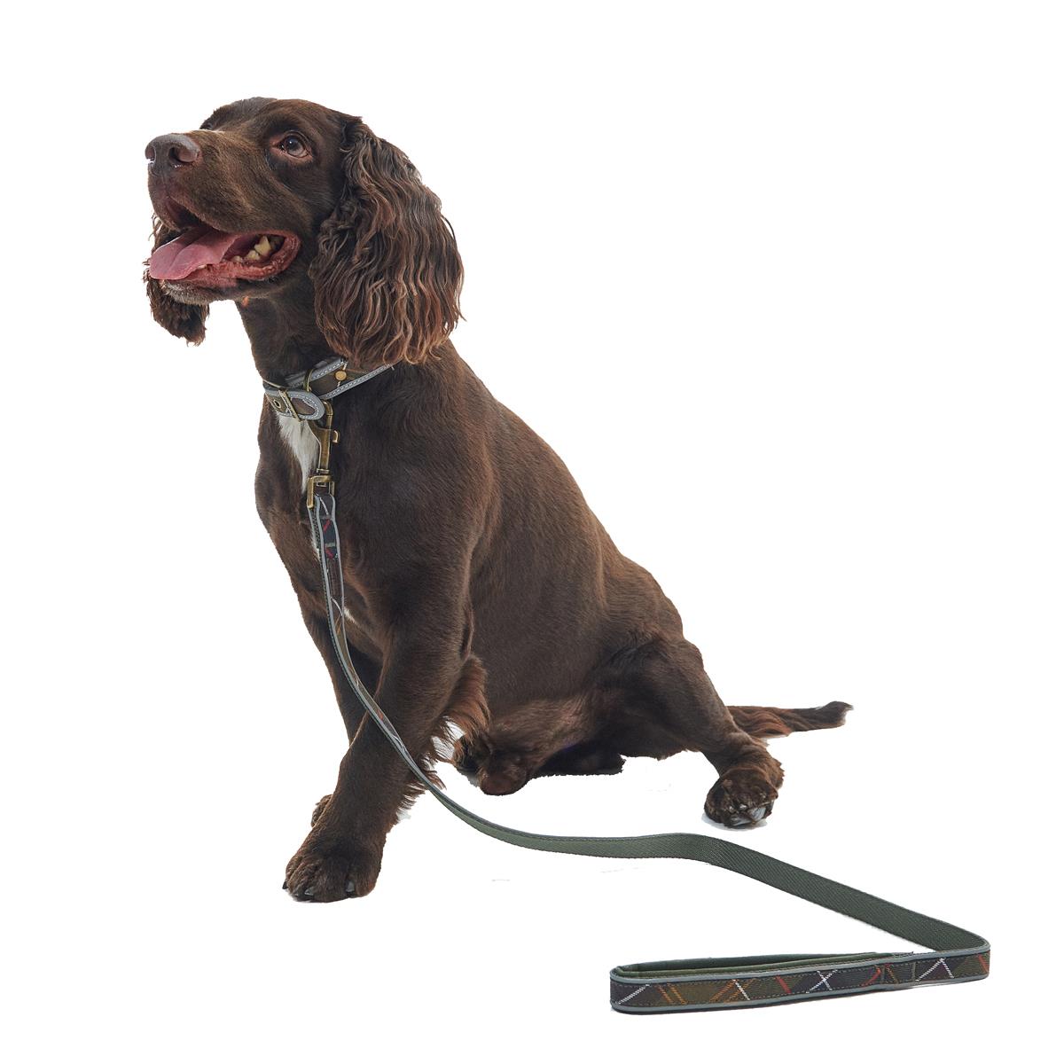 Barbour Reflective Tartan Comfort Dog Lead