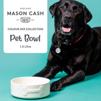 Mason Cash Colour Dog Bowl 20cm Cream INFO3