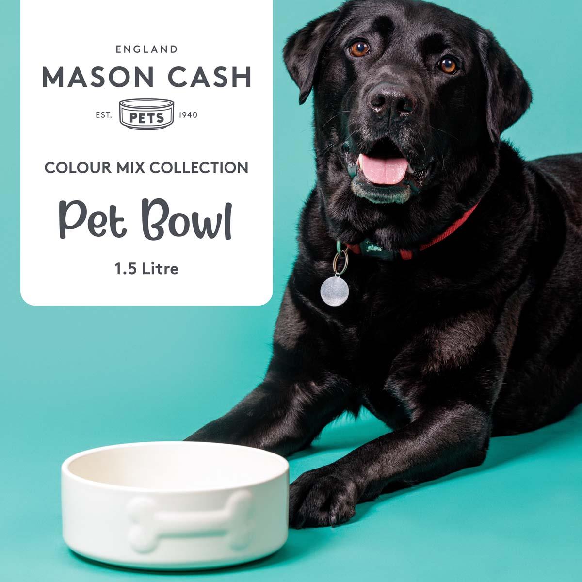 Mason Cash Colour Dog Bowl 20cm Cream INFO3