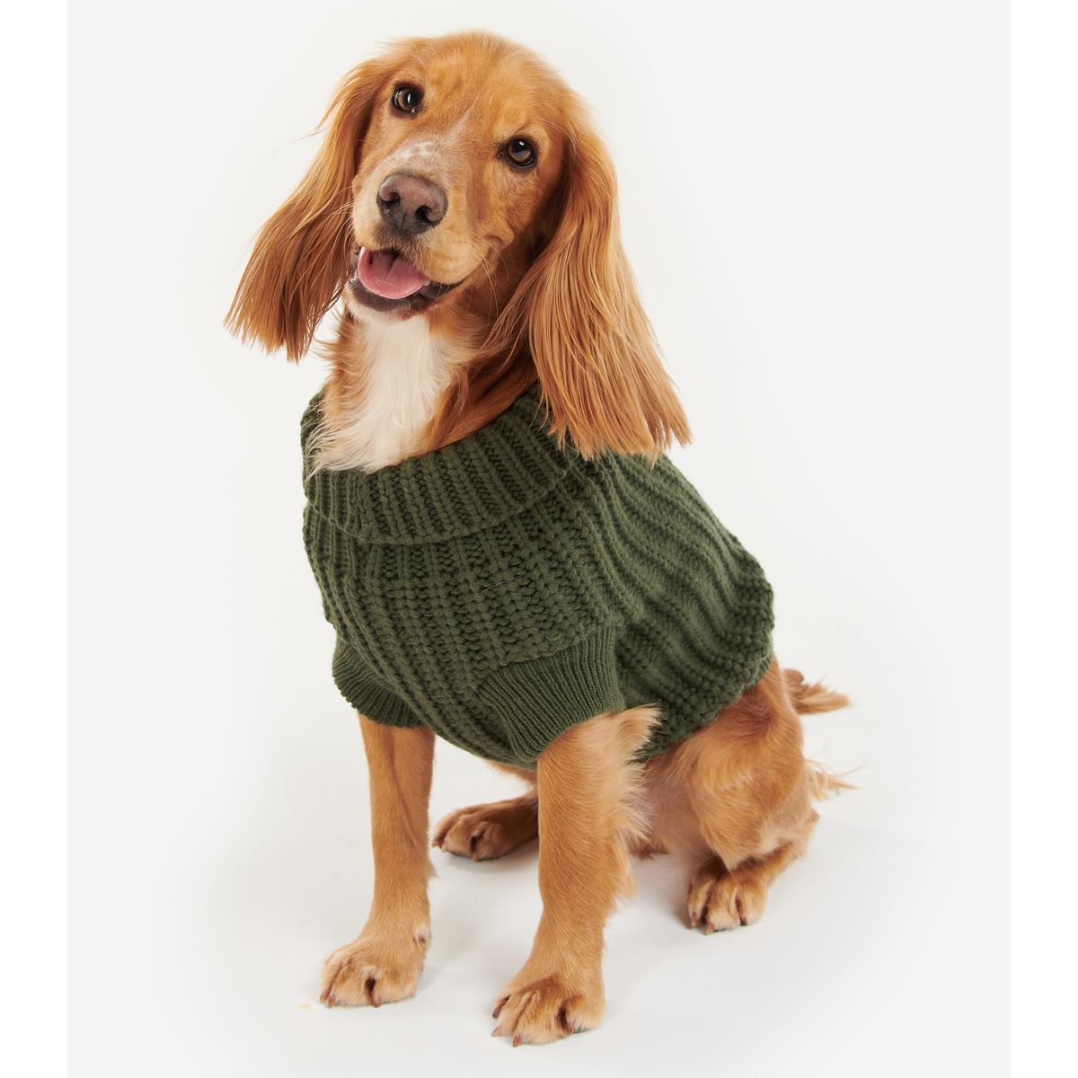 Olive Barbour Saltburn Dog Jumper On Dog