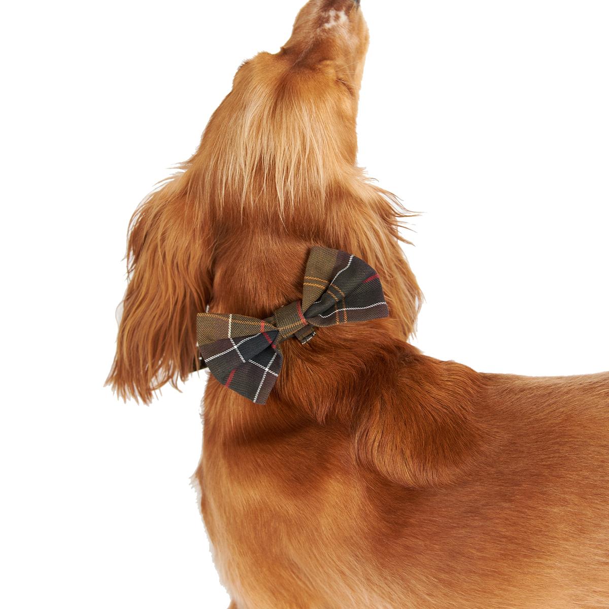 Barbour Tartan Dog Bow Tie