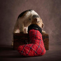 Barbour Christmas Stocking
