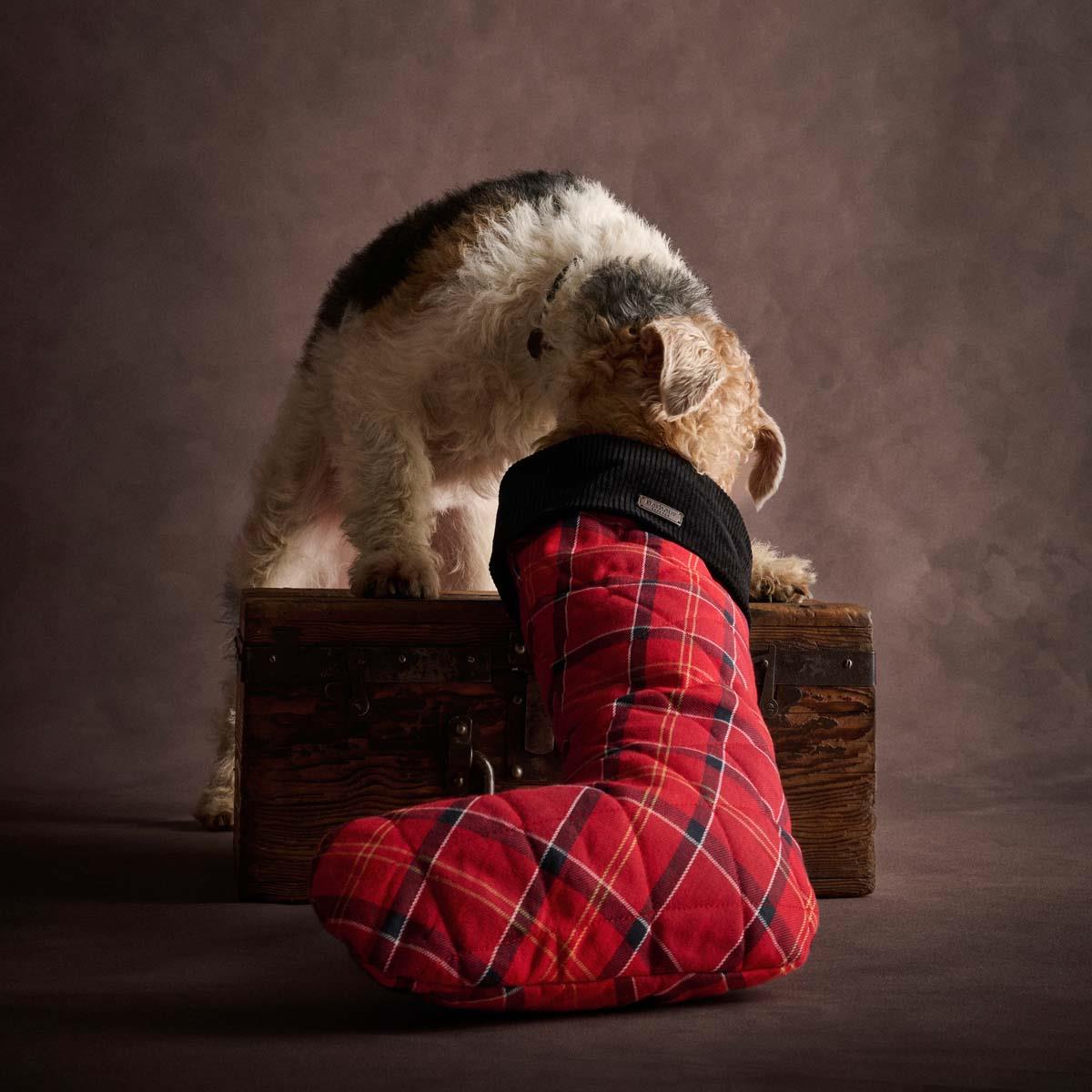 Barbour Christmas Stocking