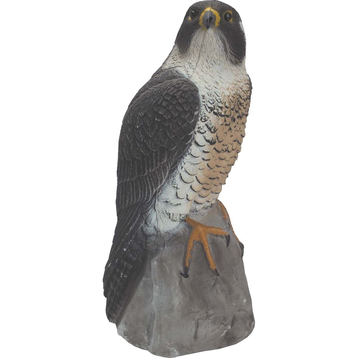 Sport Plast Peregrine Falcon Decoy