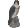 Sport Plast Peregrine Falcon Decoy