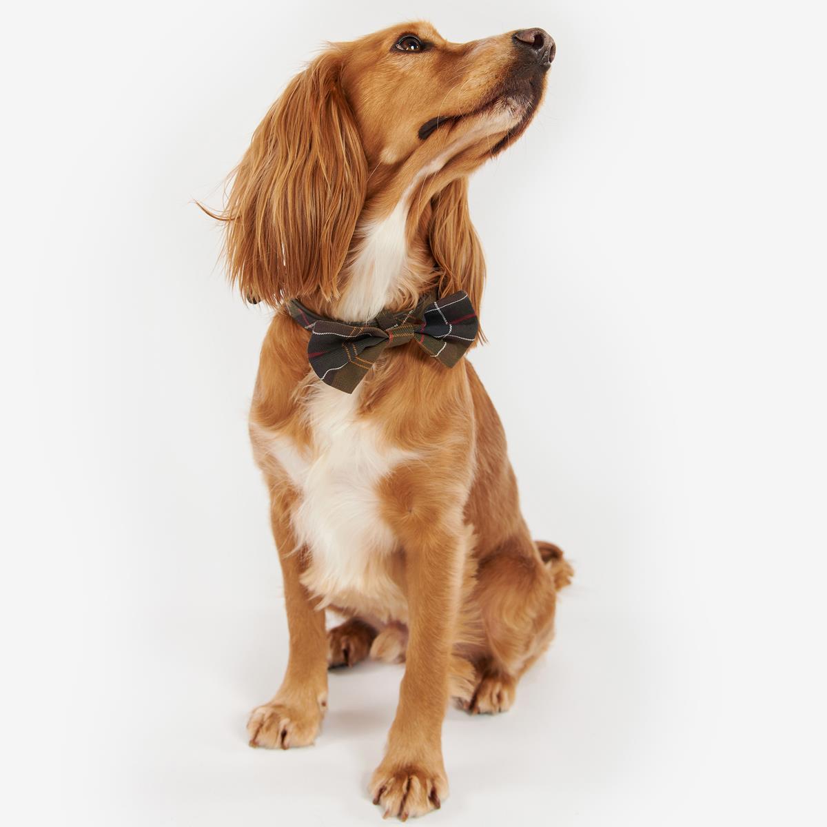 Barbour Tartan Dog Bow Tie