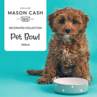 Mason Cash Polka Dot Sage Pet Bowl 13cm INFO