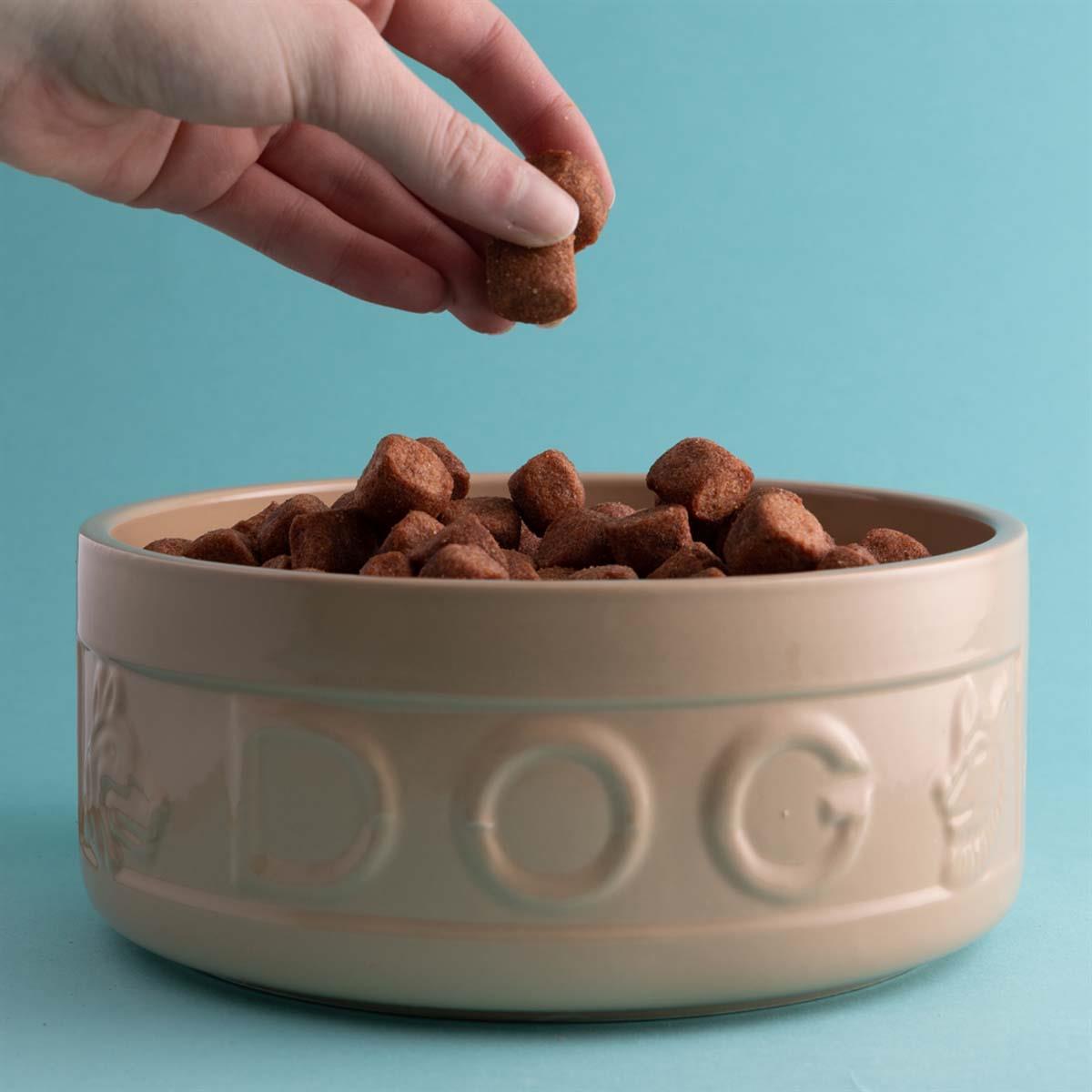 Mason Cash Cane Lettered Dog Bowl 20cm LS