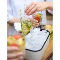 Lekue Ice Box Lifestyle