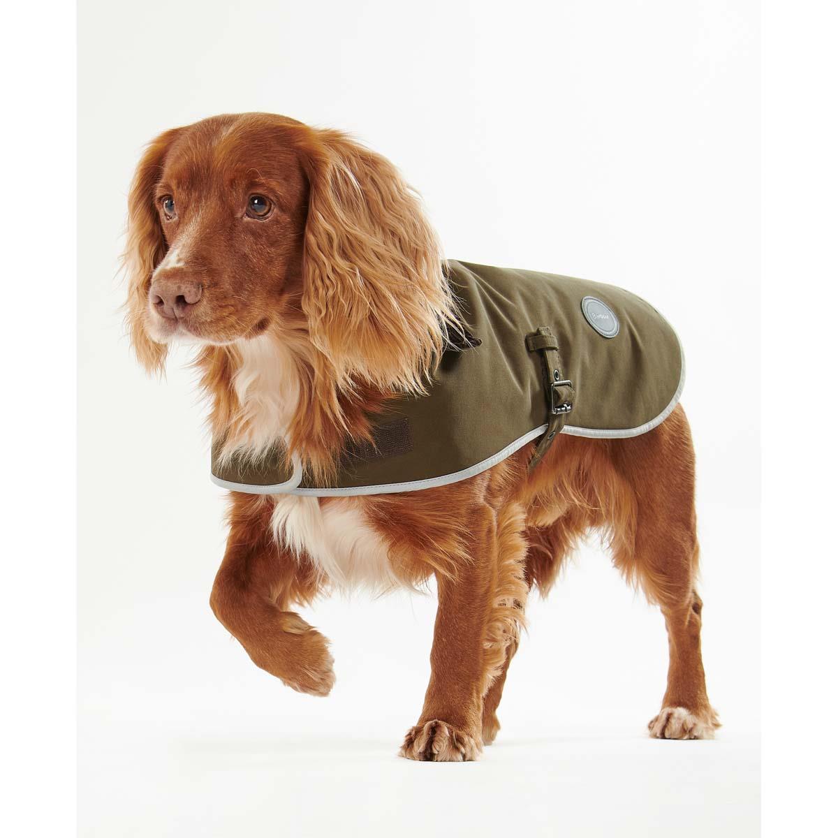Olive Barbour Waterproof Dog Coat on dog font