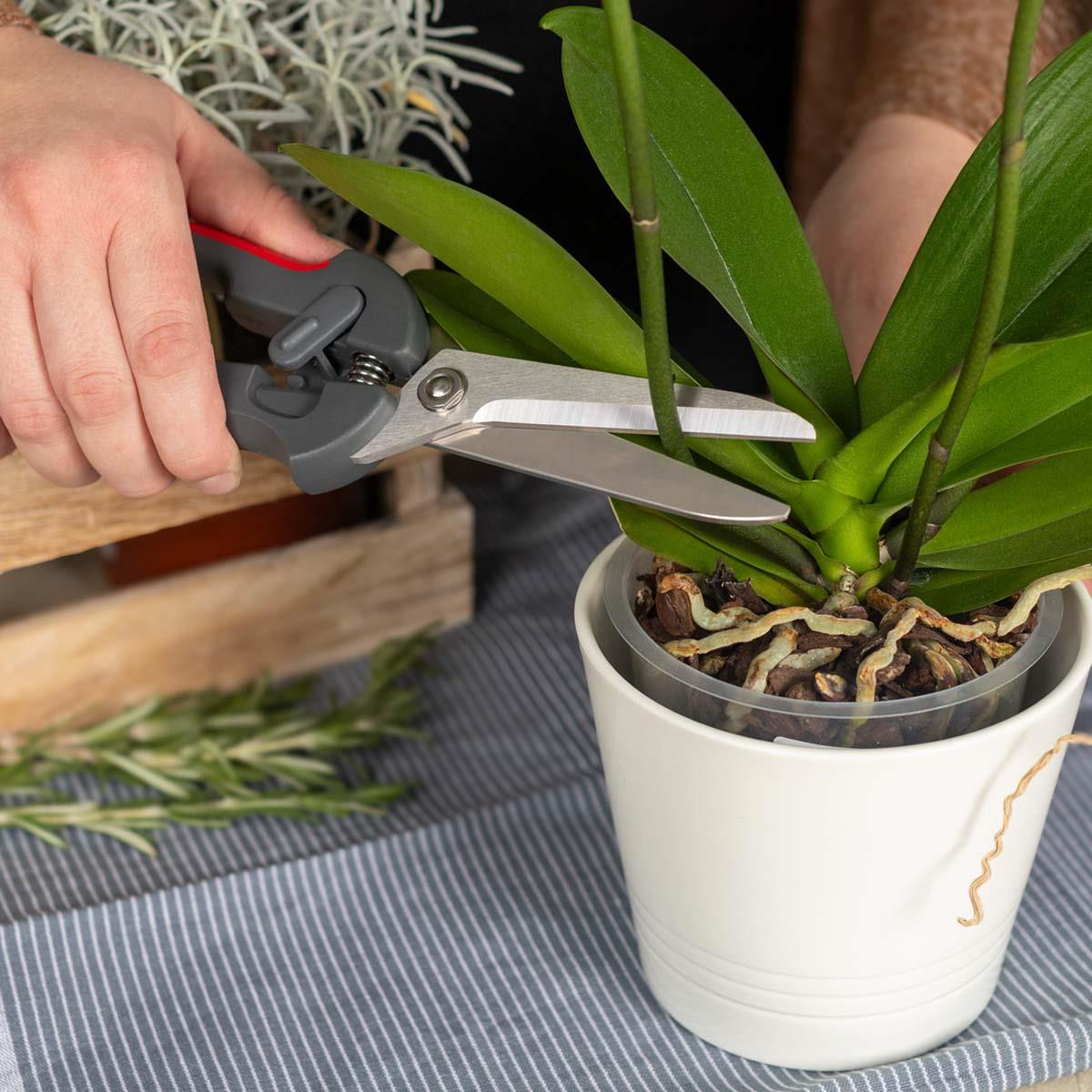 Kuhn Rikon Pro Kitchen Shears Cutting Plants