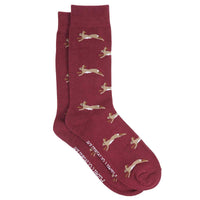 Albert and Maurice Mens Hare Socks