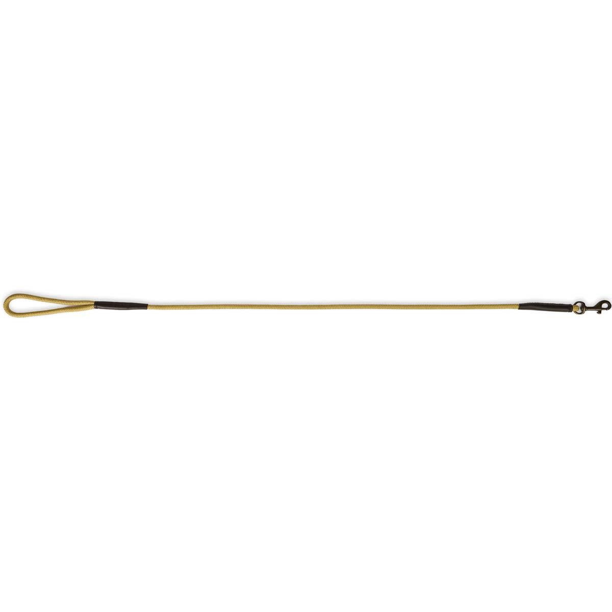 Gold Dubarry Charlie Rope Clip Dog Lead