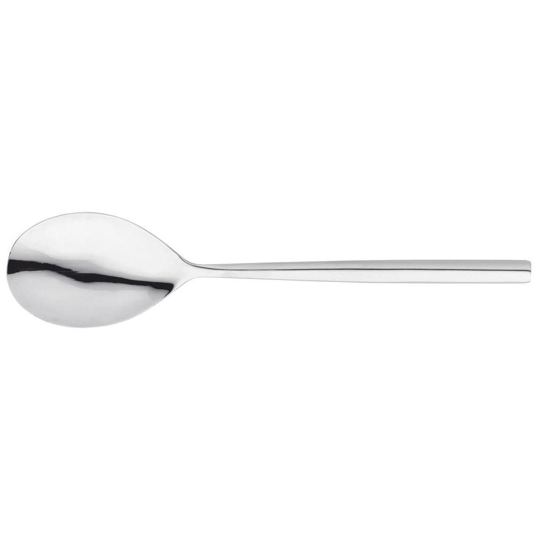 Stellar Rochester Serving Spoon Set