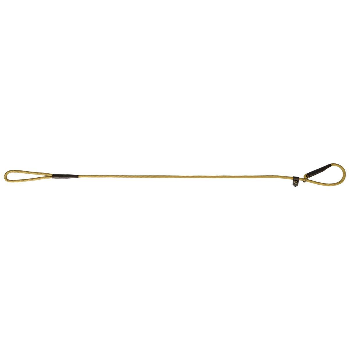 Gold Dubarry Marley Rope Slip Dog Lead