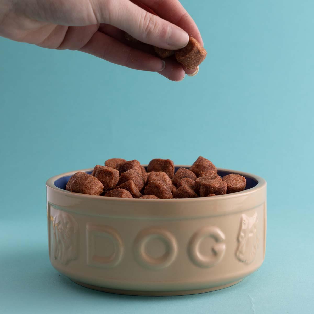 Mason Cash Cane and Blue Lettered Dog Bowl 15cm USE