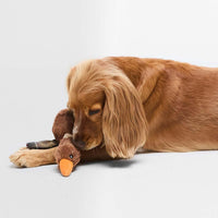 Barbour Dog Flying Duck Toy dog playing