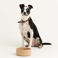 Mason Cash Cane Lettered Dog Bowl 25cm DOG