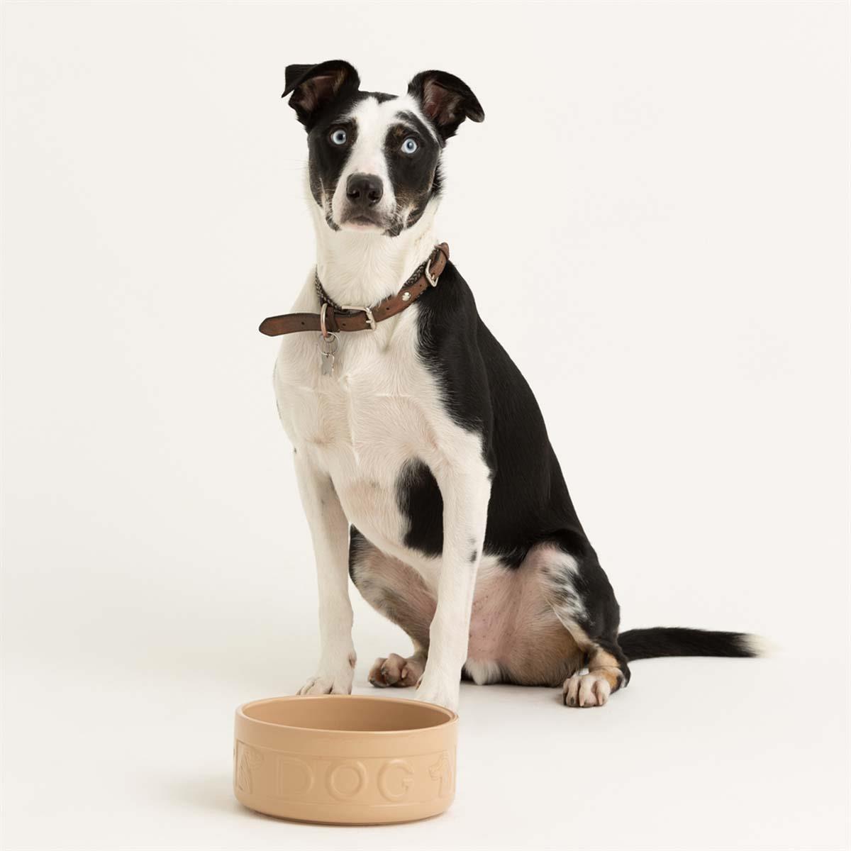Mason Cash Cane Lettered Dog Bowl 25cm DOG