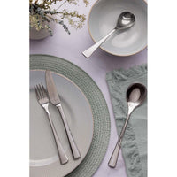 Viners Darwin 16 Piece Cutlery Set LS6