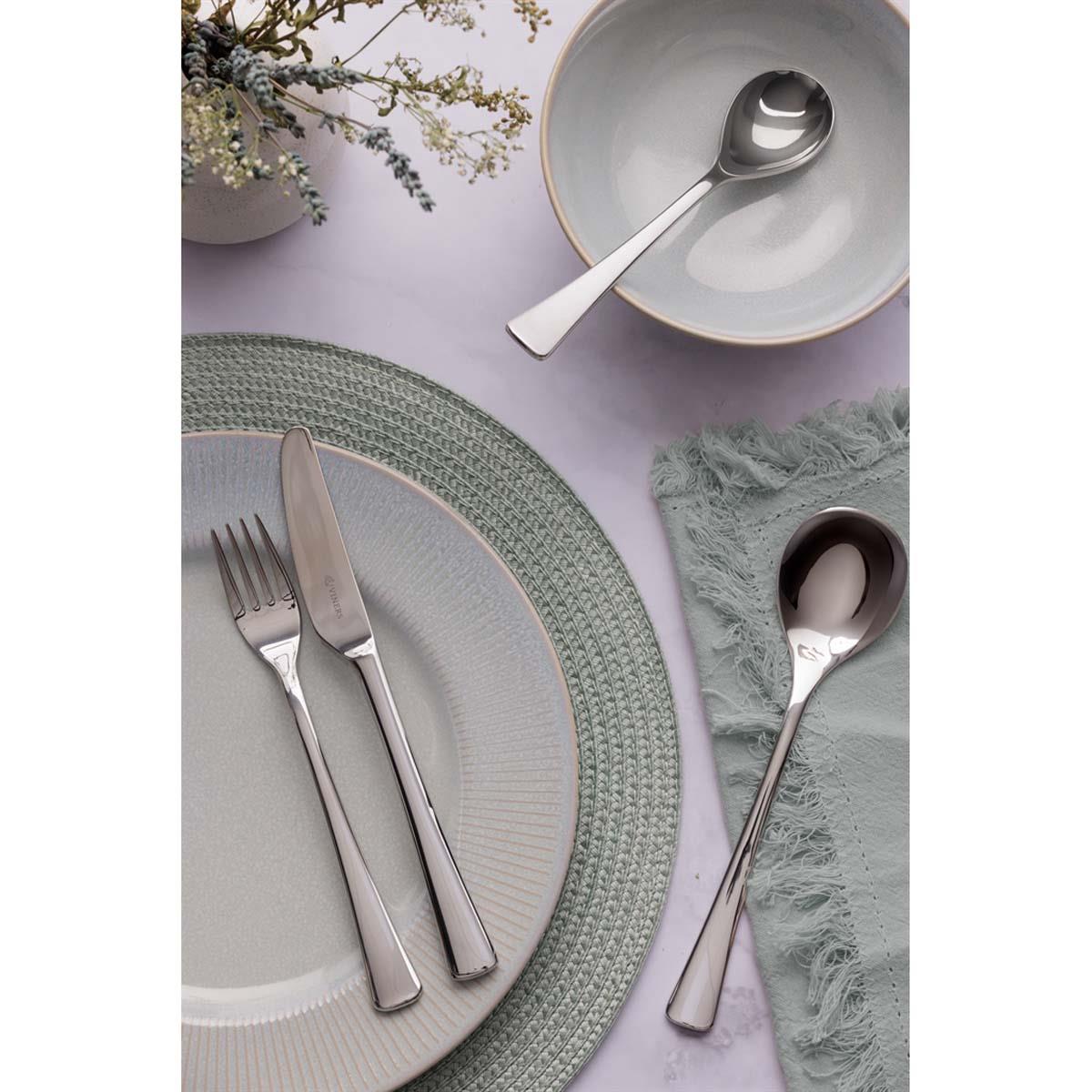 Viners Darwin 16 Piece Cutlery Set LS6