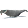 Sport Plast Folding Wood Pigeon Decoy