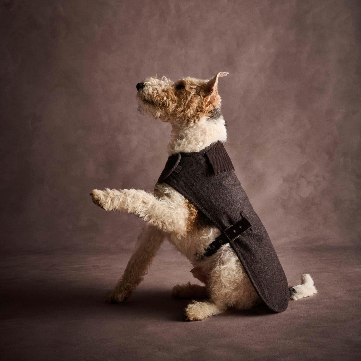 Barbour Barlow Tweed Dog Coat
