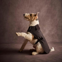 Barbour Barlow Tweed Dog Coat