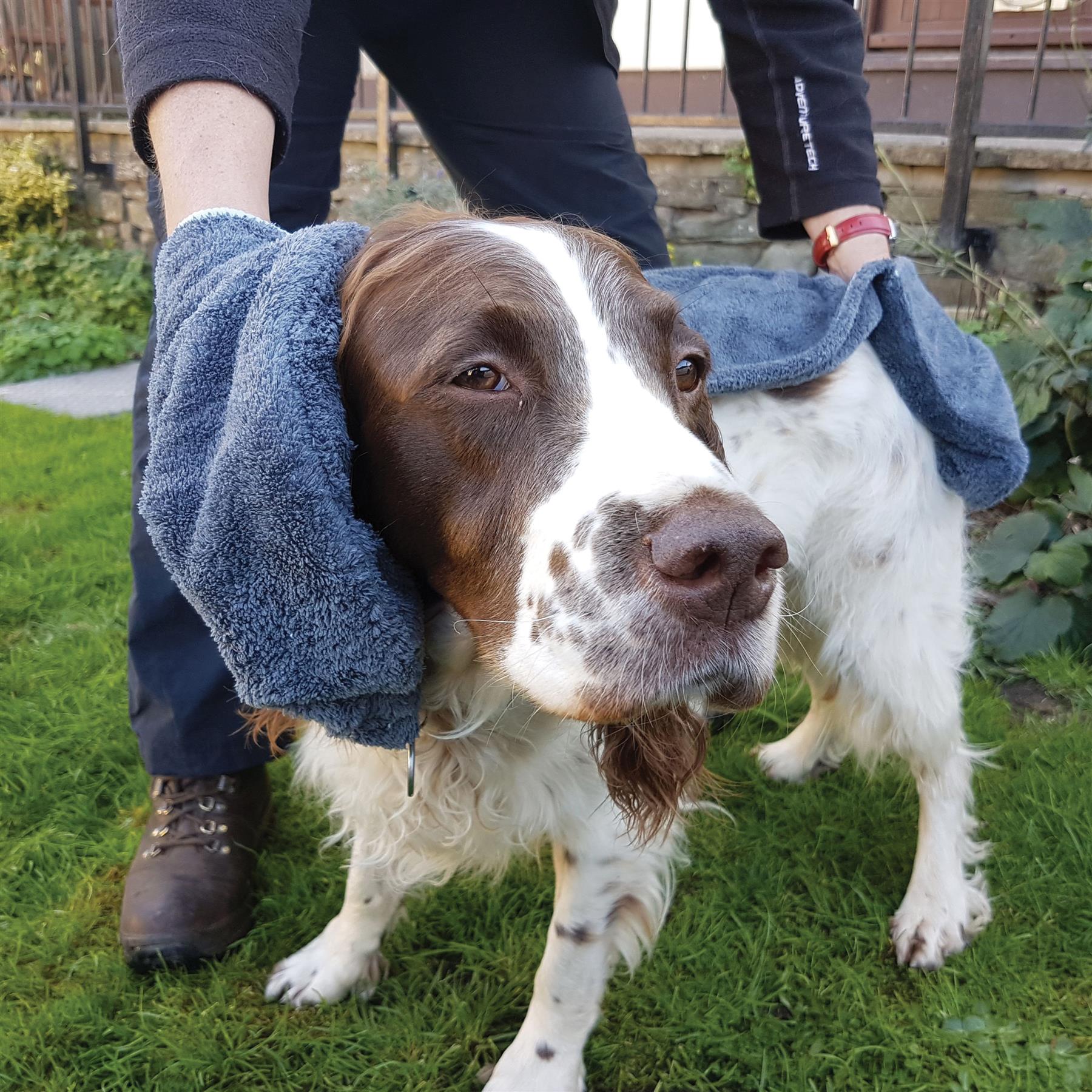 Henry Wag Microfibre Pet Towel Glove