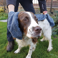 Henry Wag Microfibre Pet Towel Glove Lifestyle
