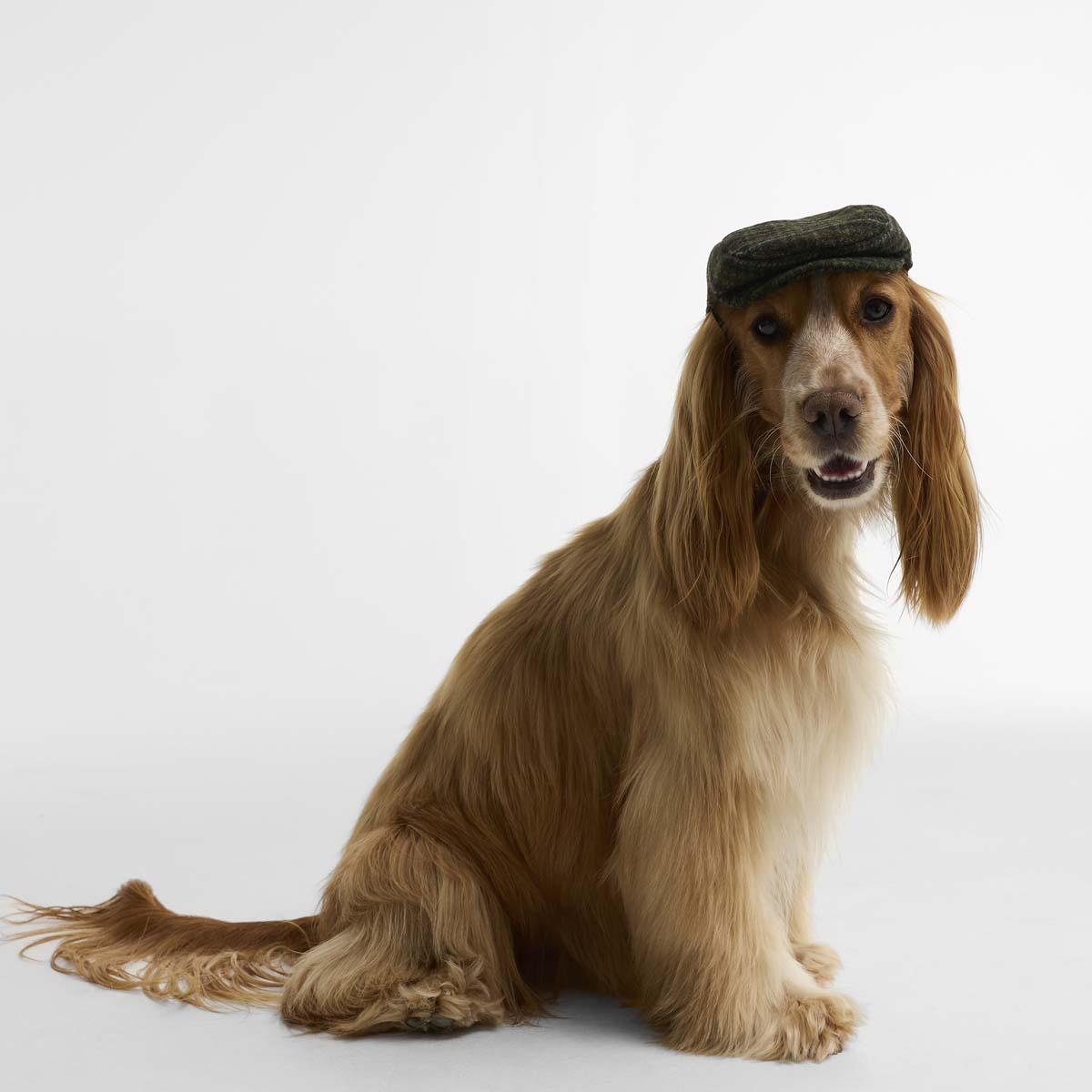 Barbour Wilkin Dog Flat Cap