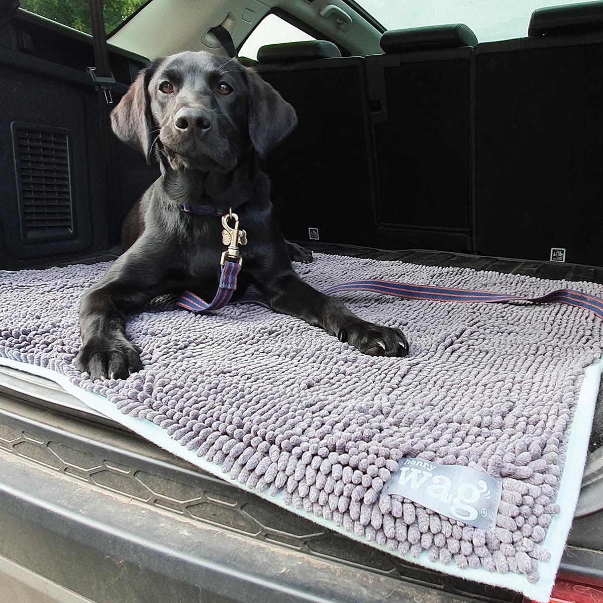 Henry Wag Microfibre Noodle Pet Mat