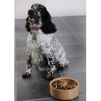 Mason Cash Cane Pet Bowl 18cm DOG
