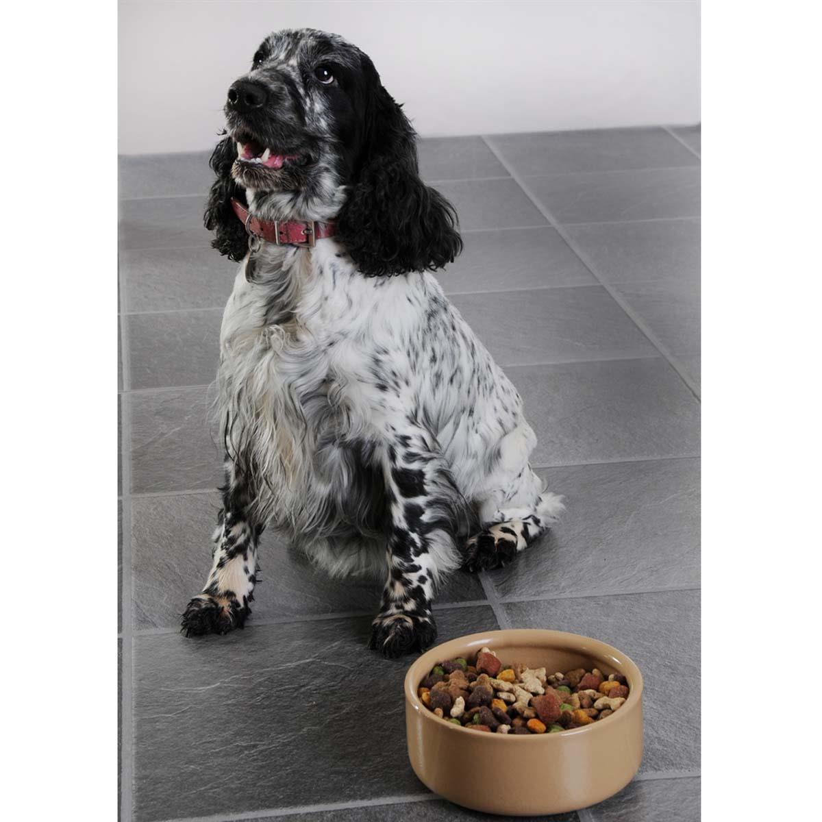 Mason Cash Cane Pet Bowl 18cm DOG