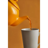 Price and Kensington 6 Cup Teapot LS9