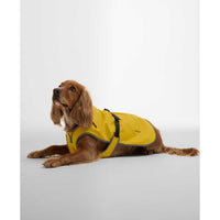 Limeade Barbour Evie Waterproof Dog Coat on model