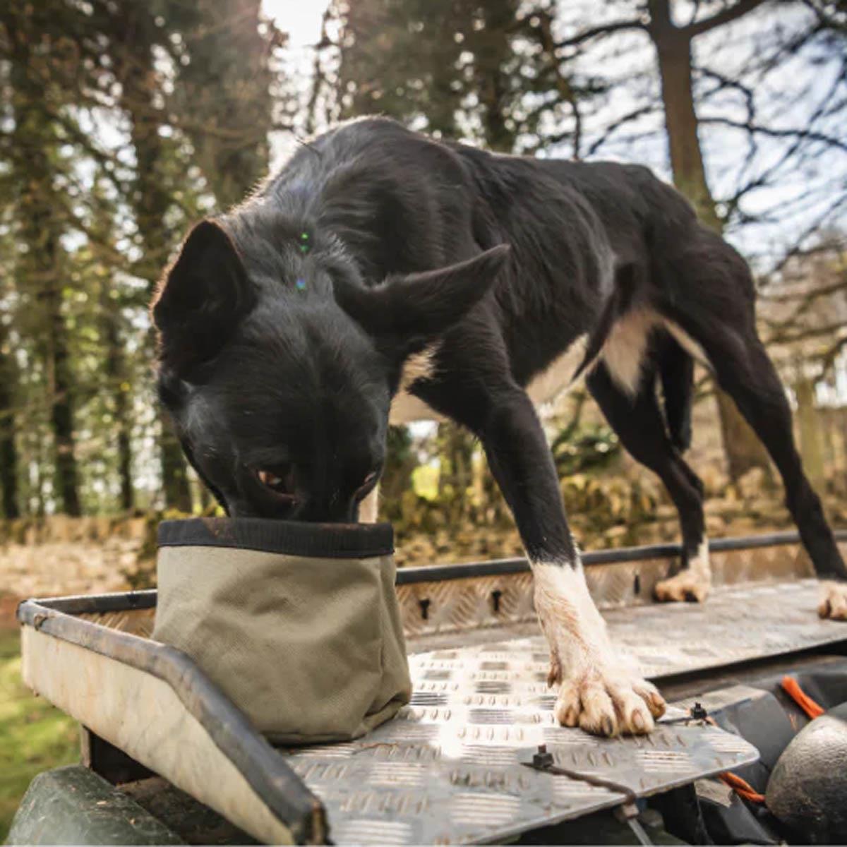 Le Chameau Portable Dog Bowl