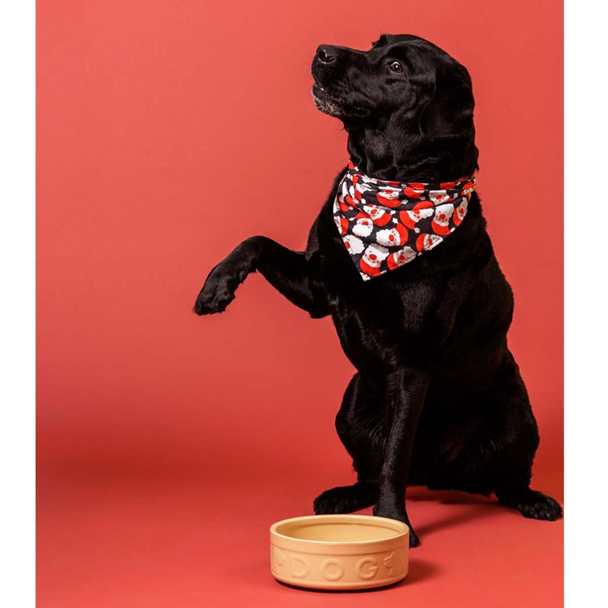 Mason Cash Cane Lettered Dog Bowl 25cm LS