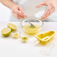 Lekue Iconic Ice Lolly Moulds Set of 4