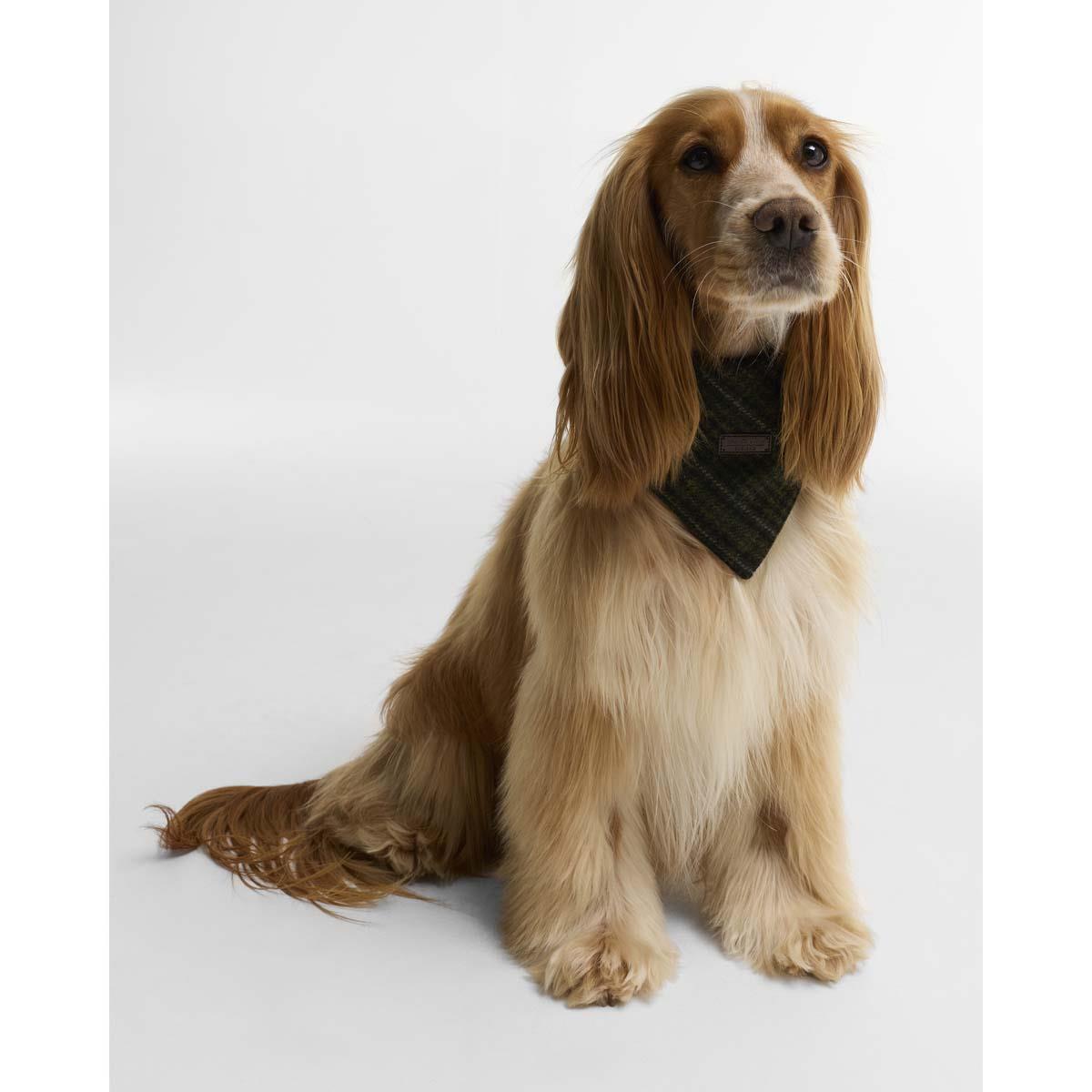 Barbour Wilkin Dog Bandana